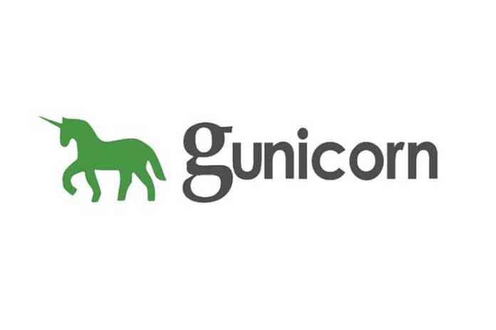 Key-Metrics-And-Best-Practices-To-Follow-With-Gunicorn
